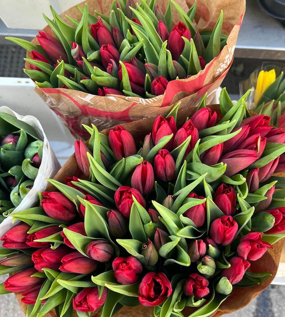 Frische rote Tulpen auf einem Wiener Blumenmarkt
